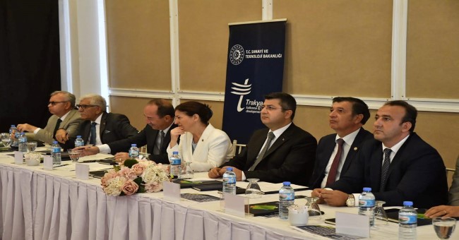 Vali Kürşat Kırbıyık, 2024-2028 Trakya Bölge Planı Vizyon Çalıştayına Katıldı